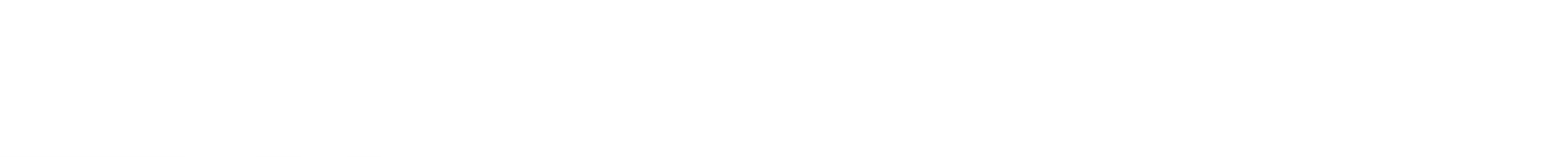 logo beninca zk