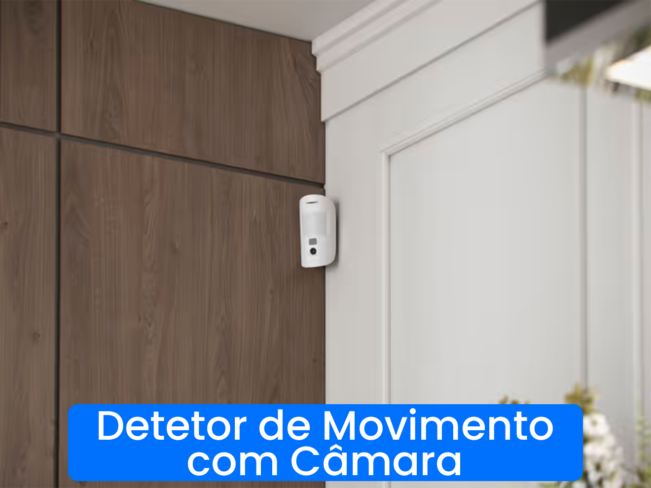 3. Det. Movimento c cam